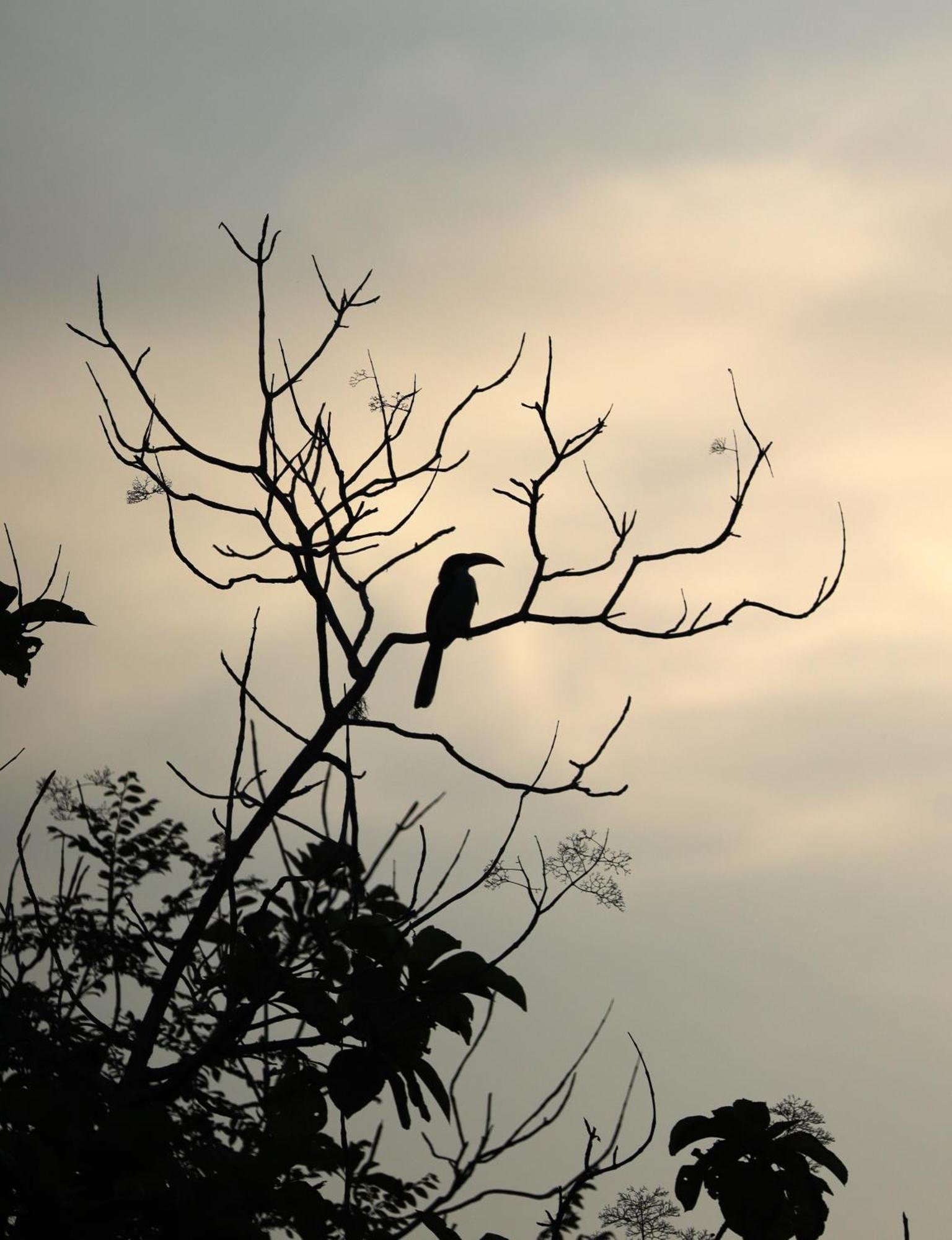 Three Little Birds Otel Tangalle Dış mekan fotoğraf